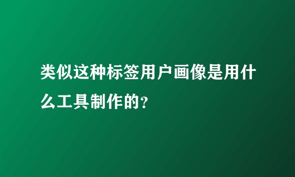 类似这种标签用户画像是用什么工具制作的？
