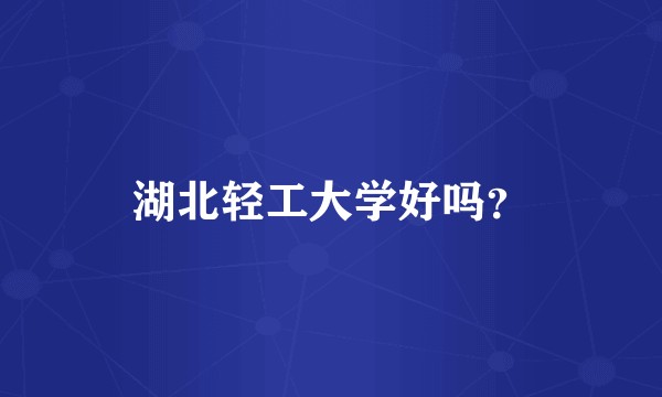 湖北轻工大学好吗？