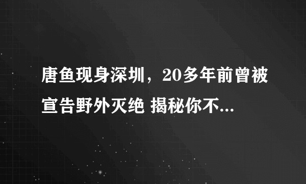 唐鱼现身深圳，20多年前曾被宣告野外灭绝 揭秘你不知道的濒危种群，你知道什么是唐鱼吗？