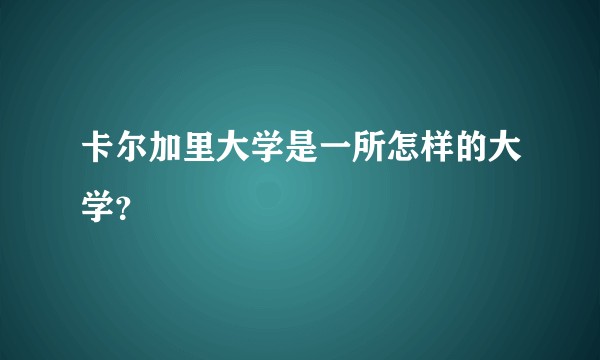 卡尔加里大学是一所怎样的大学？
