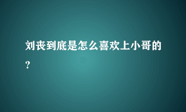刘丧到底是怎么喜欢上小哥的？