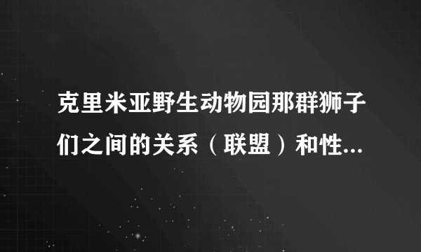 克里米亚野生动物园那群狮子们之间的关系（联盟）和性格，有没有好心人介绍一下，最近好喜欢这群大猫～?