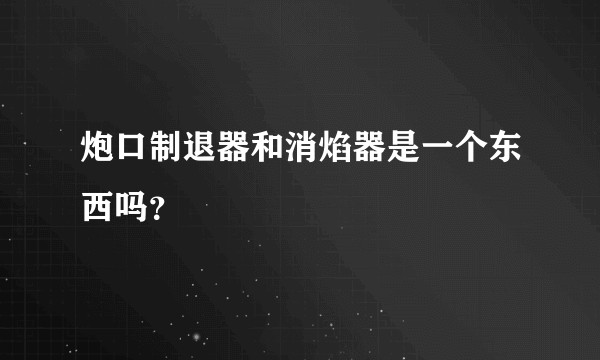 炮口制退器和消焰器是一个东西吗？