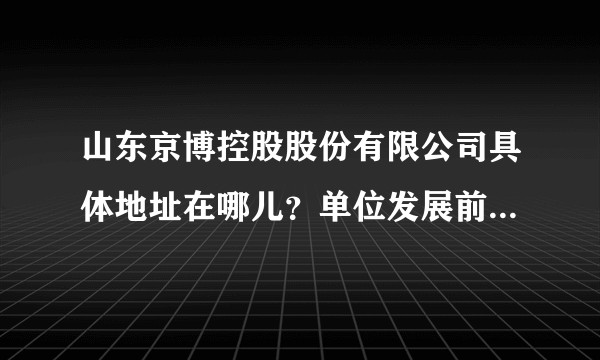 山东京博控股股份有限公司具体地址在哪儿？单位发展前景怎么样？本科生的待遇怎么样？