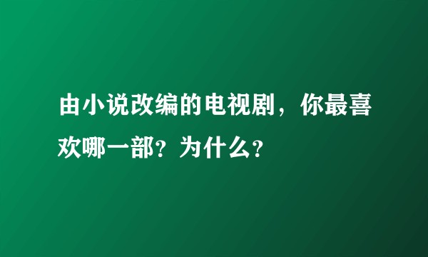 由小说改编的电视剧，你最喜欢哪一部？为什么？