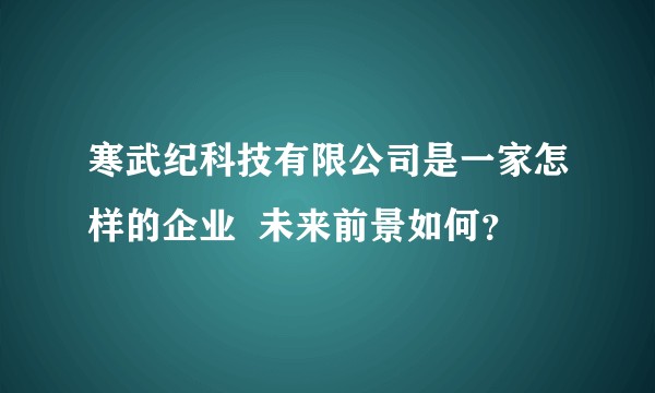 寒武纪科技有限公司是一家怎样的企业  未来前景如何？