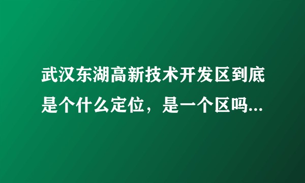 武汉东湖高新技术开发区到底是个什么定位，是一个区吗，可是武汉市十三个区也没有他啊。？