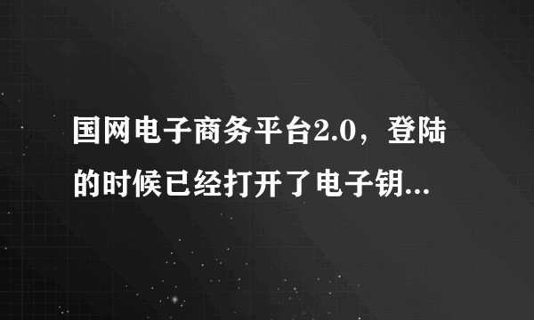 国网电子商务平台2.0，登陆的时候已经打开了电子钥匙，还是显示“请先启动电子钥匙辅助控件”怎么办？