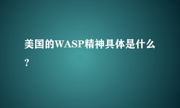 美国的WASP精神具体是什么？