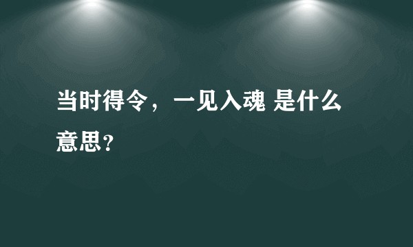 当时得令，一见入魂 是什么意思？