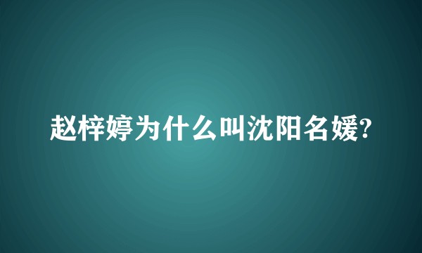 赵梓婷为什么叫沈阳名媛?