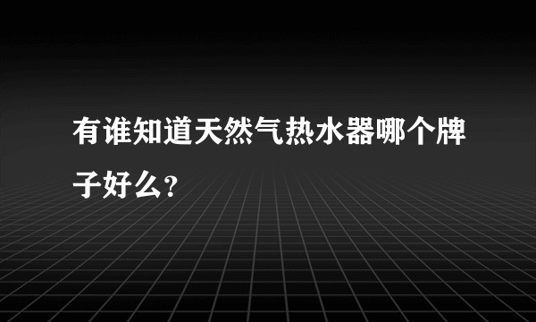 有谁知道天然气热水器哪个牌子好么？