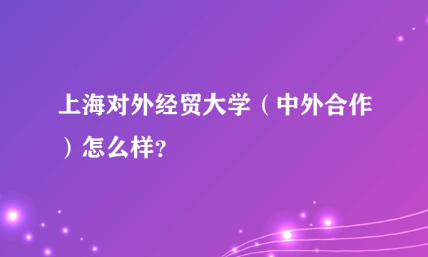 上海对外经贸大学（中外合作）怎么样？