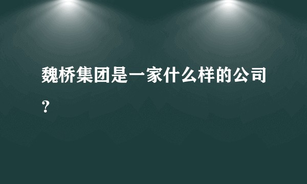 魏桥集团是一家什么样的公司？