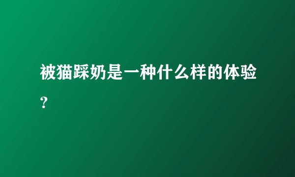 被猫踩奶是一种什么样的体验？