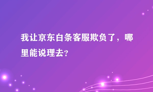 我让京东白条客服欺负了，哪里能说理去？