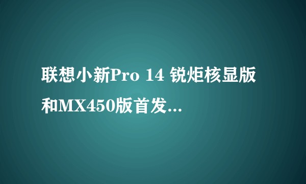 联想小新Pro 14 锐炬核显版和MX450版首发价相差700元，除了显卡还有哪些不同？