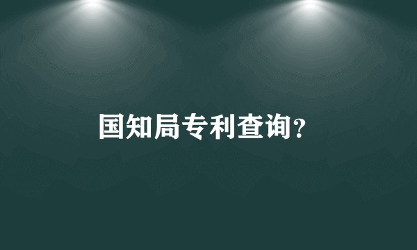 国知局专利查询？