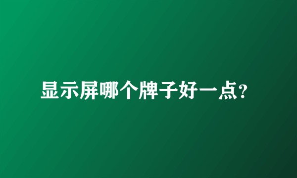 显示屏哪个牌子好一点？
