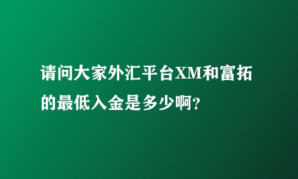 请问大家外汇平台XM和富拓的最低入金是多少啊？