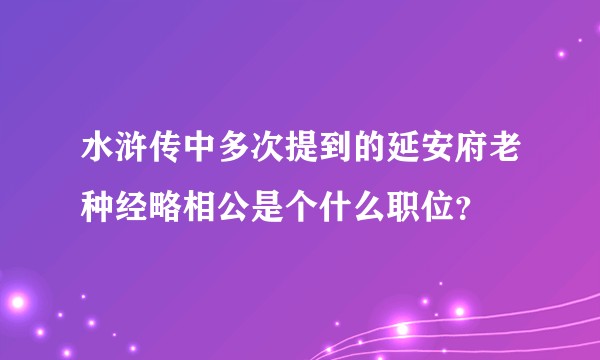 水浒传中多次提到的延安府老种经略相公是个什么职位?