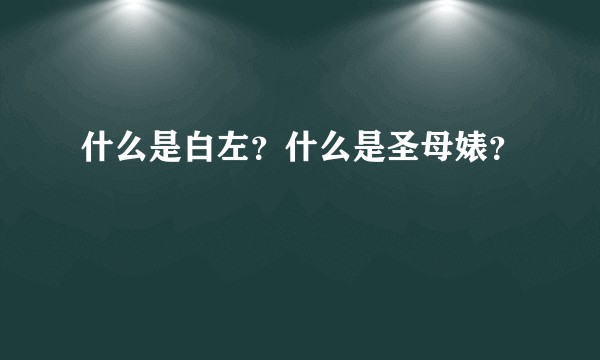 什么是白左？什么是圣母婊？