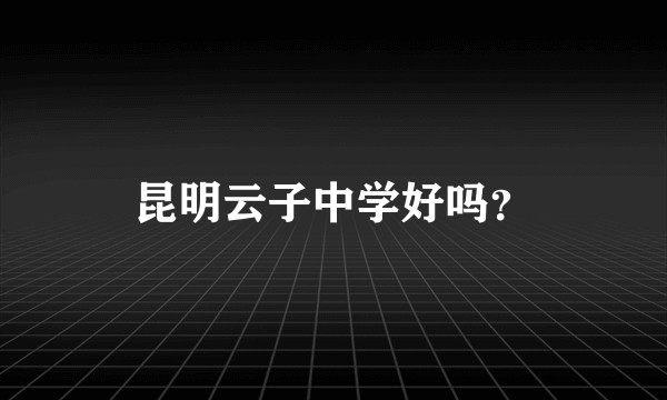 昆明云子中学好吗？