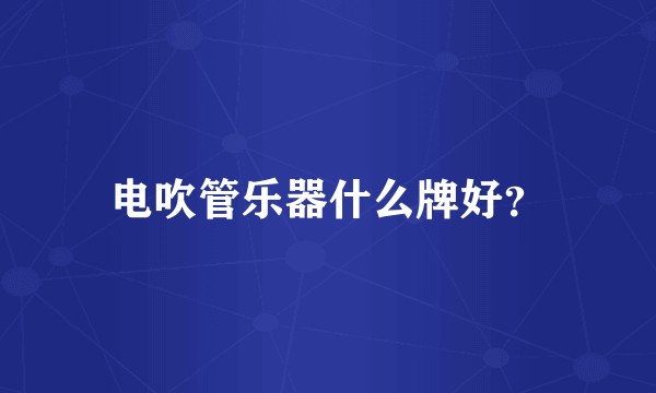 电吹管乐器什么牌好？