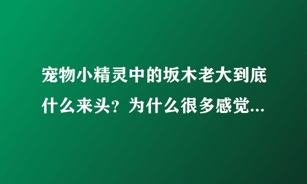 宠物小精灵中的坂木老大到底什么来头？为什么很多感觉比他实力强的人却甘心当他的手下？