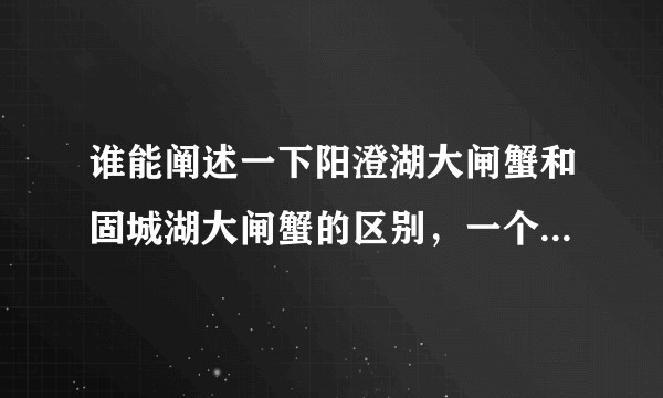 谁能阐述一下阳澄湖大闸蟹和固城湖大闸蟹的区别,一个是江苏苏州,一个是江苏南京,口味和卖相上区别大吗?