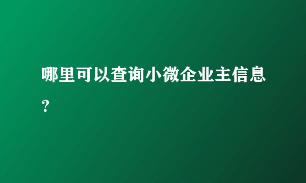 哪里可以查询小微企业主信息？