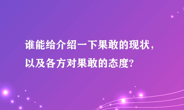 谁能给介绍一下果敢的现状，以及各方对果敢的态度?