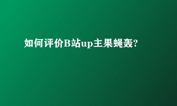 如何评价B站up主果蝇轰?