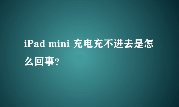 iPad mini 充电充不进去是怎么回事？