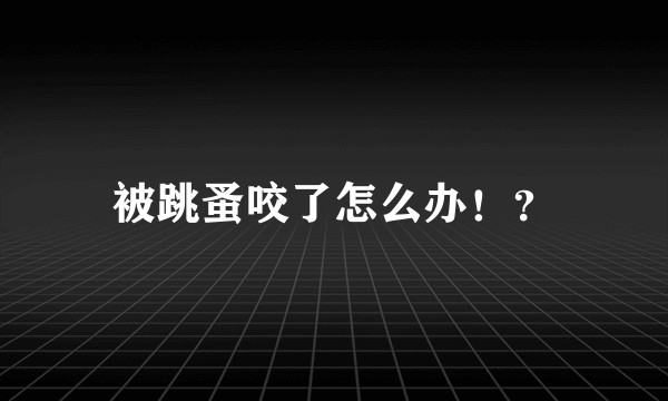 被跳蚤咬了怎么办！？