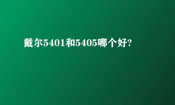 戴尔5401和5405哪个好?
