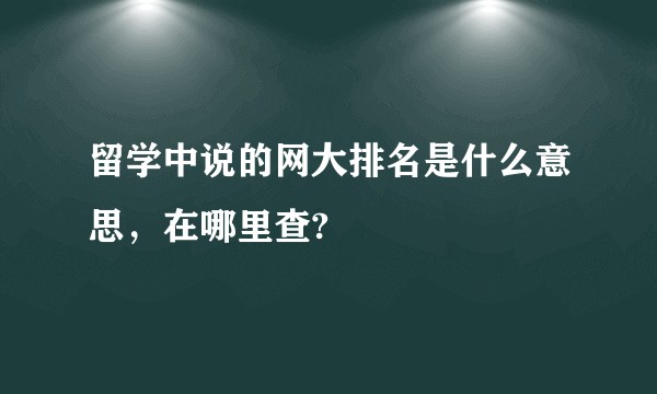 留学中说的网大排名是什么意思，在哪里查?