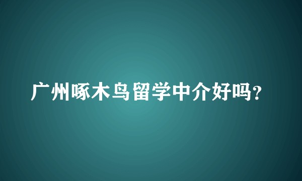 广州啄木鸟留学中介好吗？