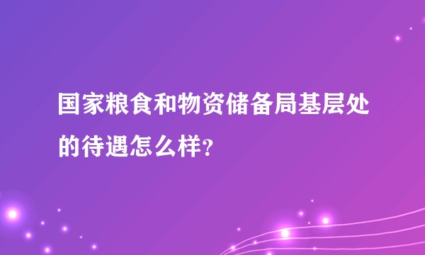 国家粮食和物资储备局基层处的待遇怎么样？