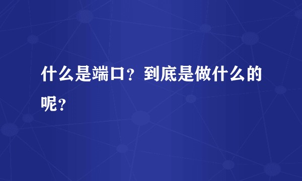 什么是端口?到底是做什么的呢?