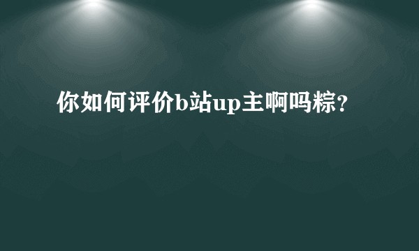 你如何评价b站up主啊吗粽？