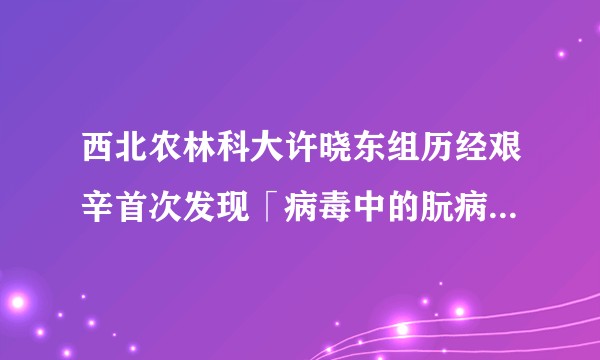 西北农林科大许晓东组历经艰辛首次发现「病毒中的朊病毒」,具有怎样的意义?