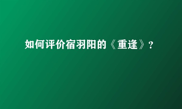 如何评价宿羽阳的《重逢》?