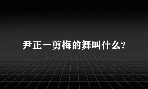 尹正一剪梅的舞叫什么?