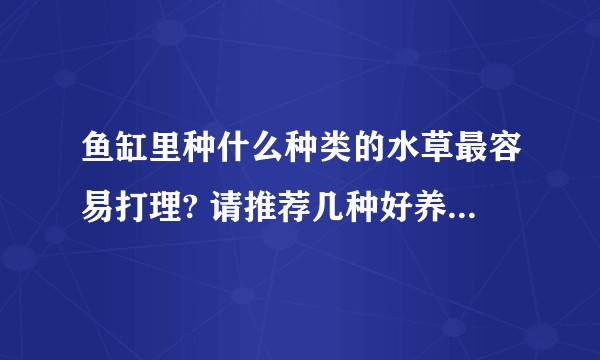 鱼缸里种什么种类的水草最容易打理? 请推荐几种好养好看的.