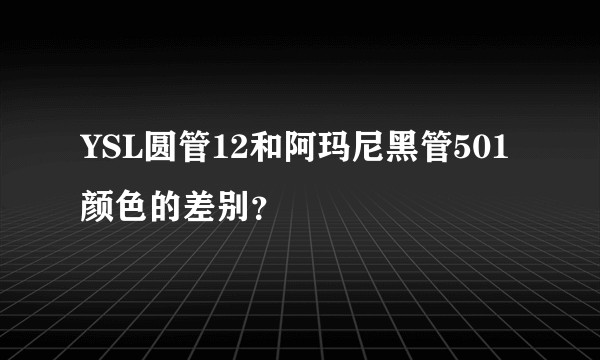 YSL圆管12和阿玛尼黑管501颜色的差别？