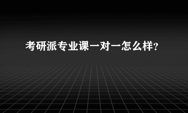 考研派专业课一对一怎么样？