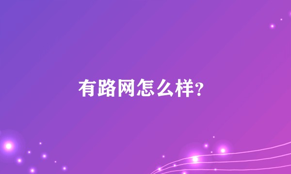 有路网怎么样？