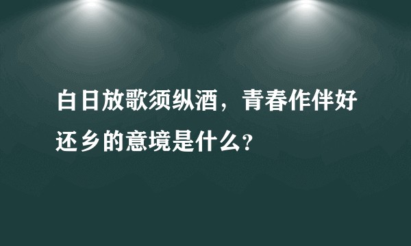 白日放歌须纵酒,青春作伴好还乡的意境是什么?