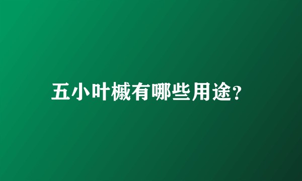 五小叶槭有哪些用途？